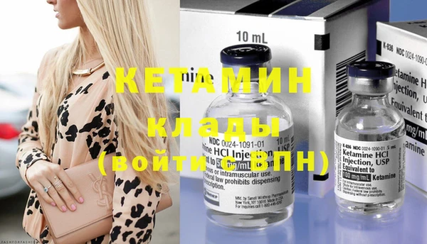 шишки Медвежьегорск